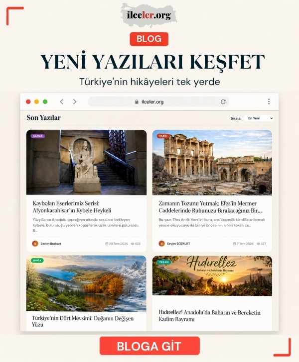 Blog Yazıları