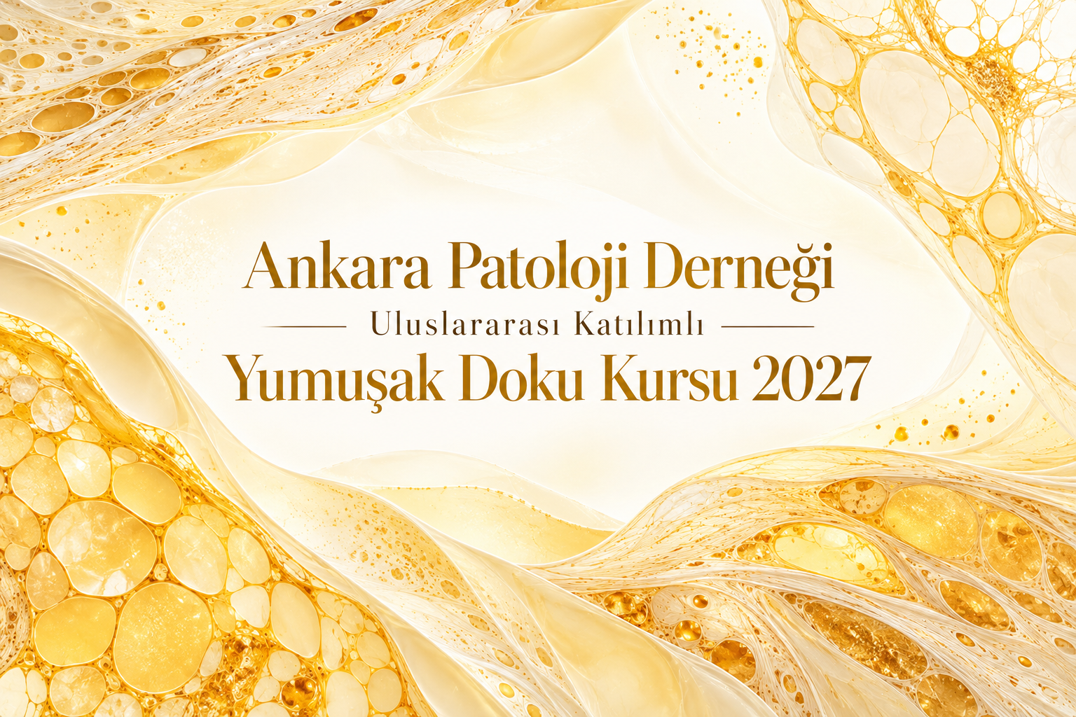 Ankara Patoloji Derneği Uluslararası Katılımlı Yumuşak Doku Kursu 2027