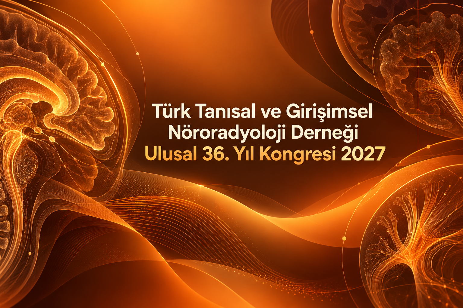 Türk Tanısal ve Girişimsel Nöroradyoloji Derneği Ulusal 36. Yıl Kongresi 2027