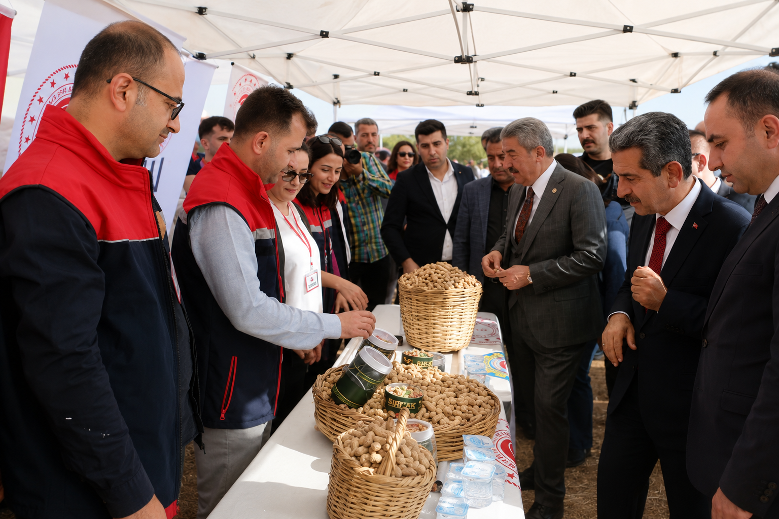Geçmiş yılların Yer Fıstığı Hasadı görselleri