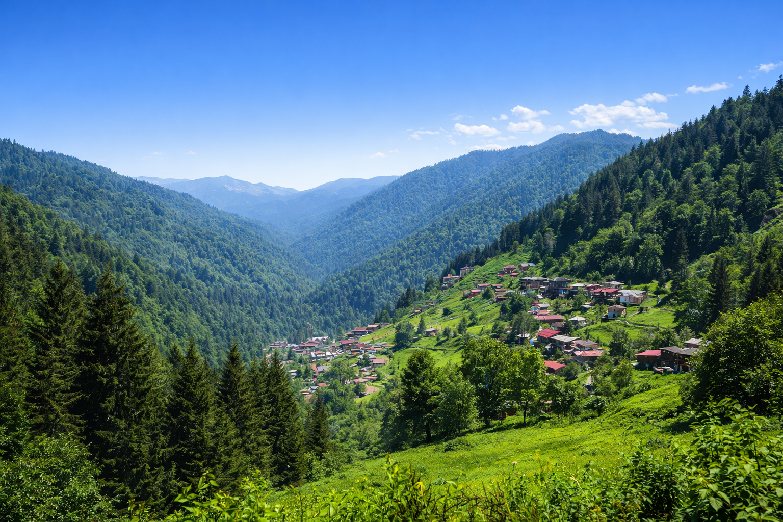 Ayder Yaylası 