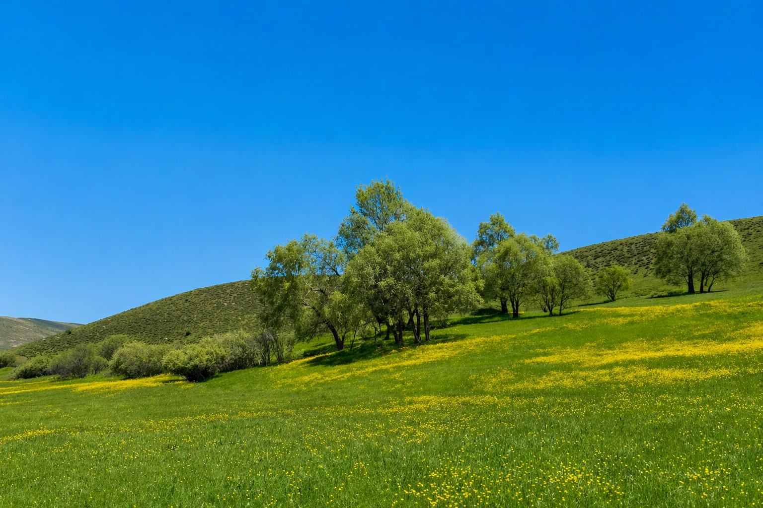 Bingöl Galerisi 