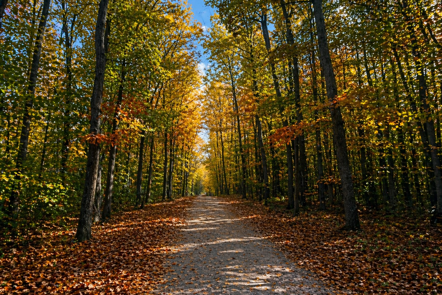 Bolu Galerisi