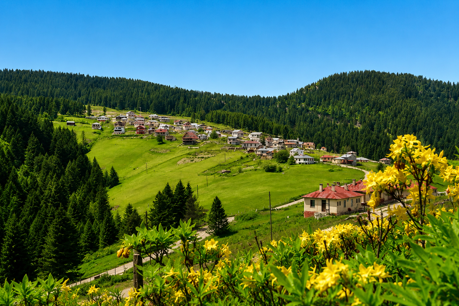 Kulakkaya Yaylası — Giresun kültür rotası görseli