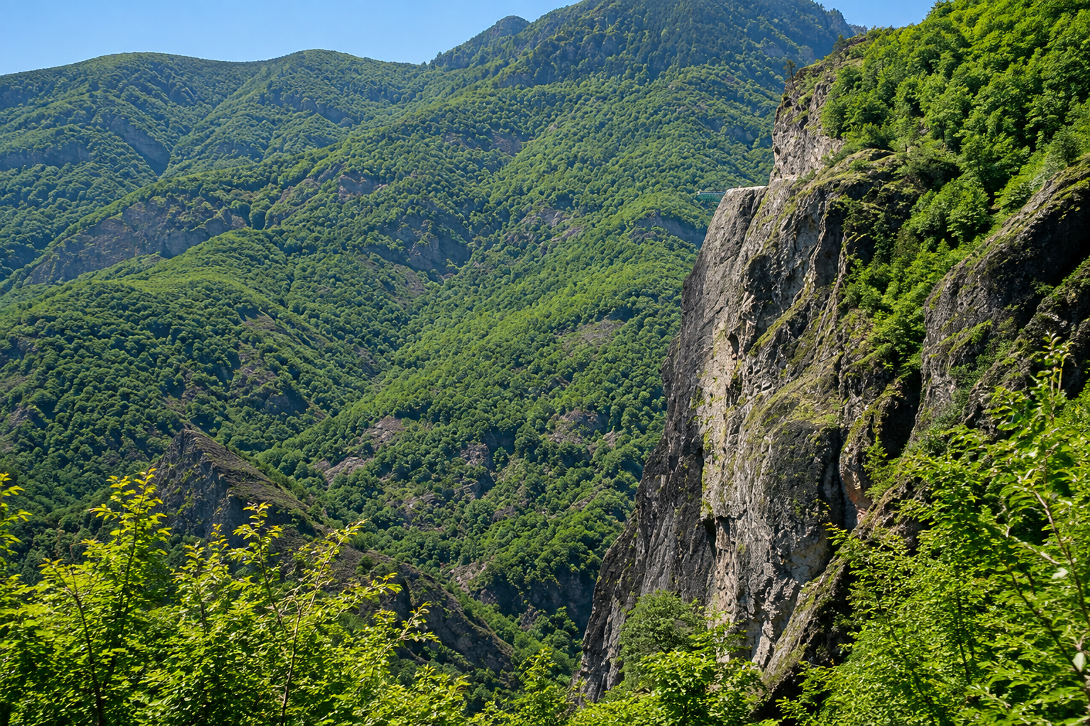 Hatila Vadisi Milli Parkı — Artvin kültür rotası görseli