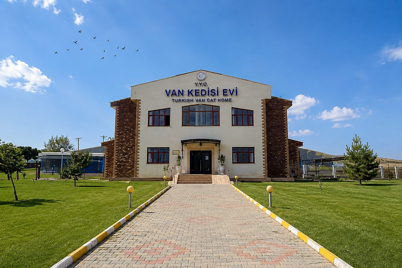 Van Kedisi Evi — Van kültür rotası görseli