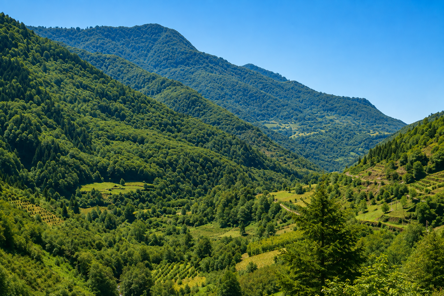 Maral Şelalesi — Artvin kültür rotası görseli