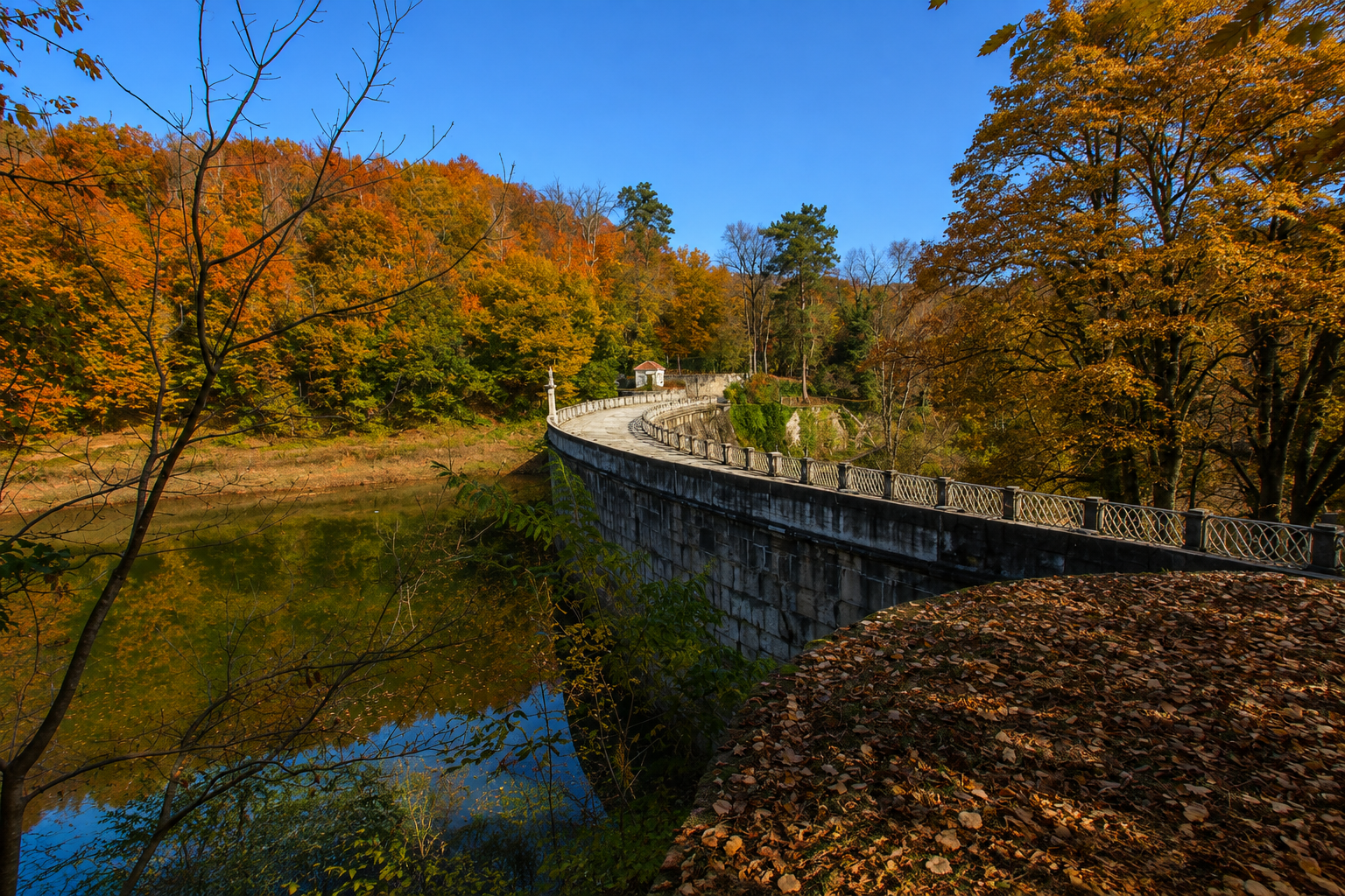 Belgrad Ormanı — İstanbul kültür rotası görseli