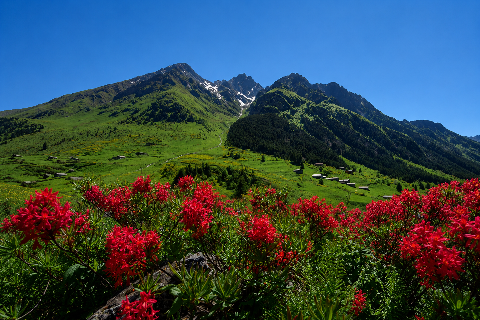 Fırtına Vadisi — Rize kültür rotası görseli