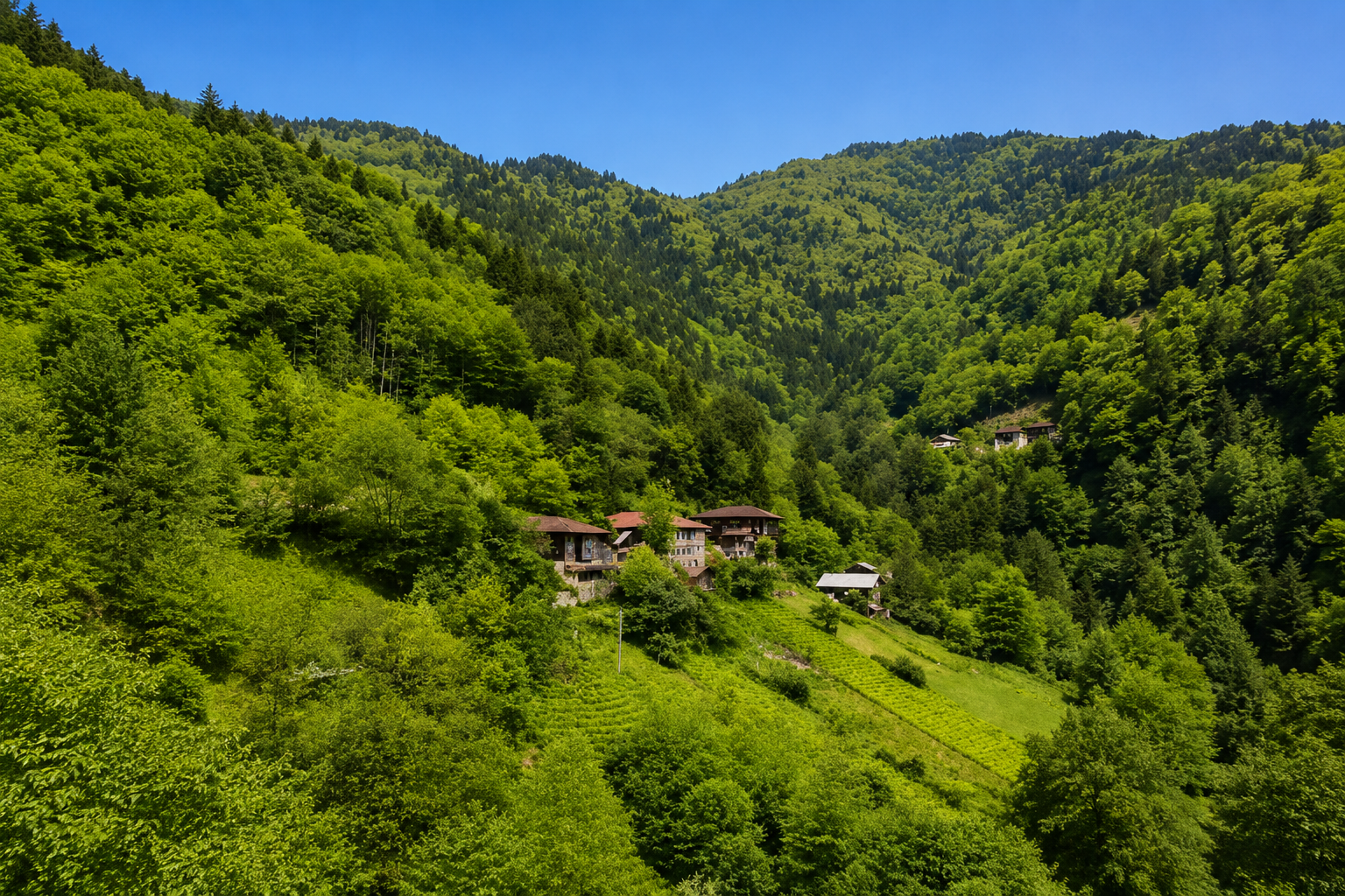 Fırtına Vadisi — Rize kültür rotası görseli