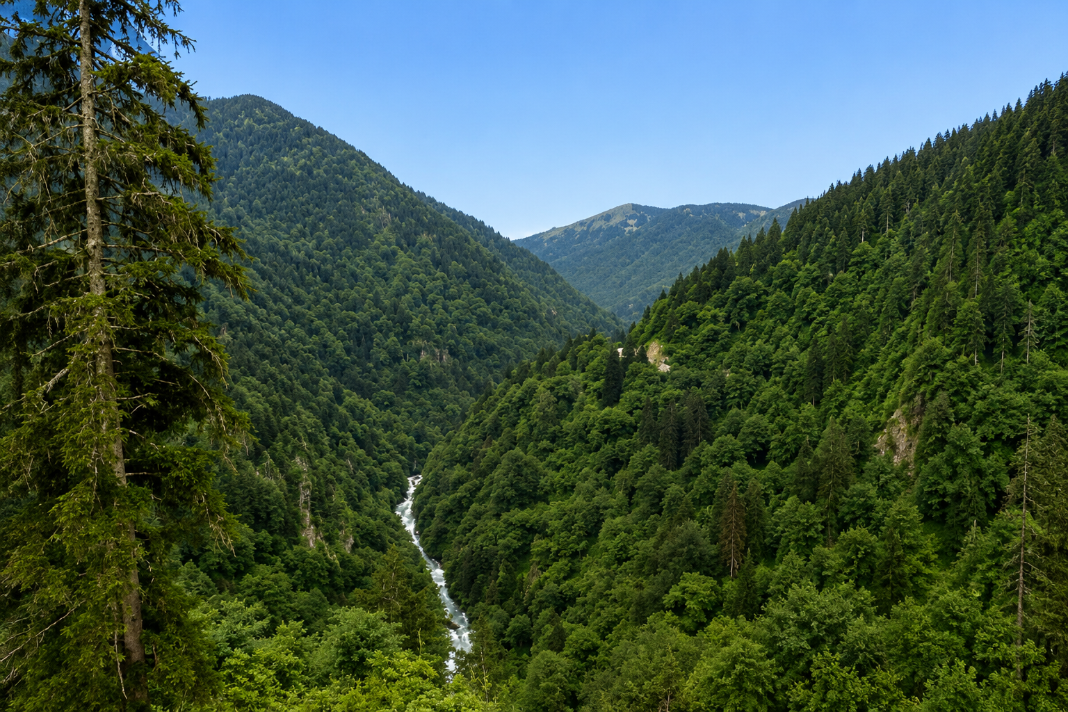 Fırtına Vadisi — Rize kültür rotası görseli