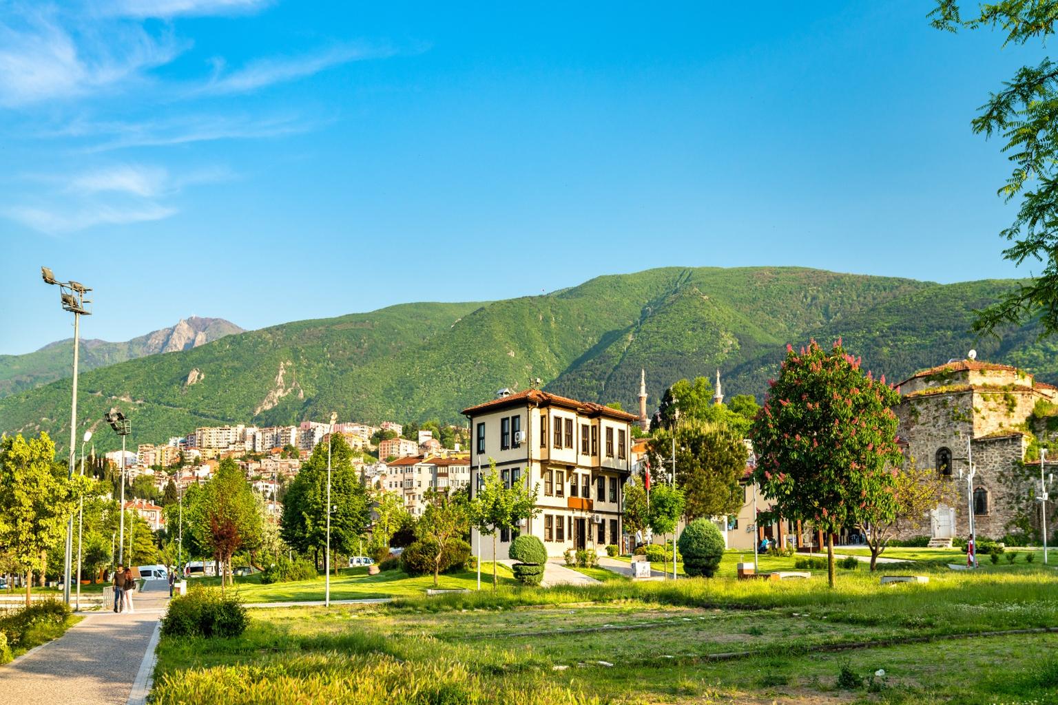 Bursa kapak görseli