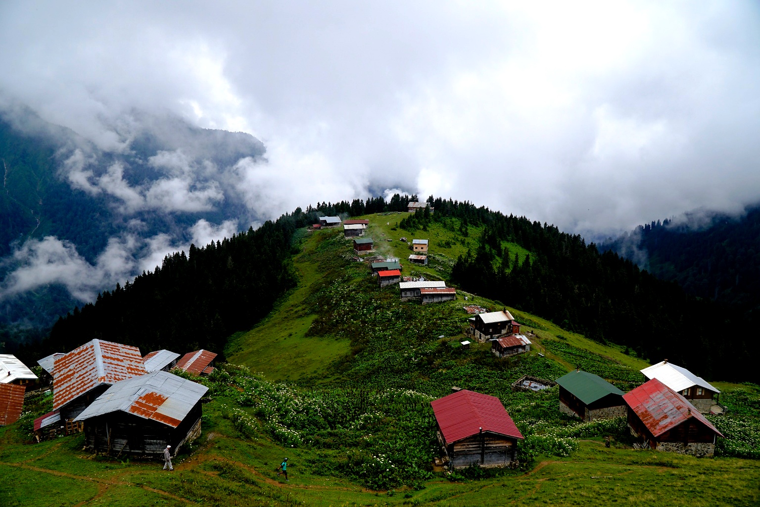 Rize kapak görseli