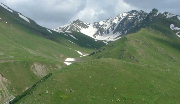Artvin Yusufeli yaylaları