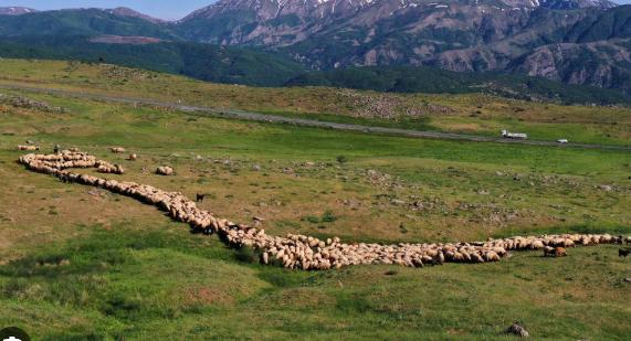 Muş Merkez yaylaları
