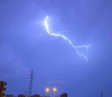 Mersin görseli